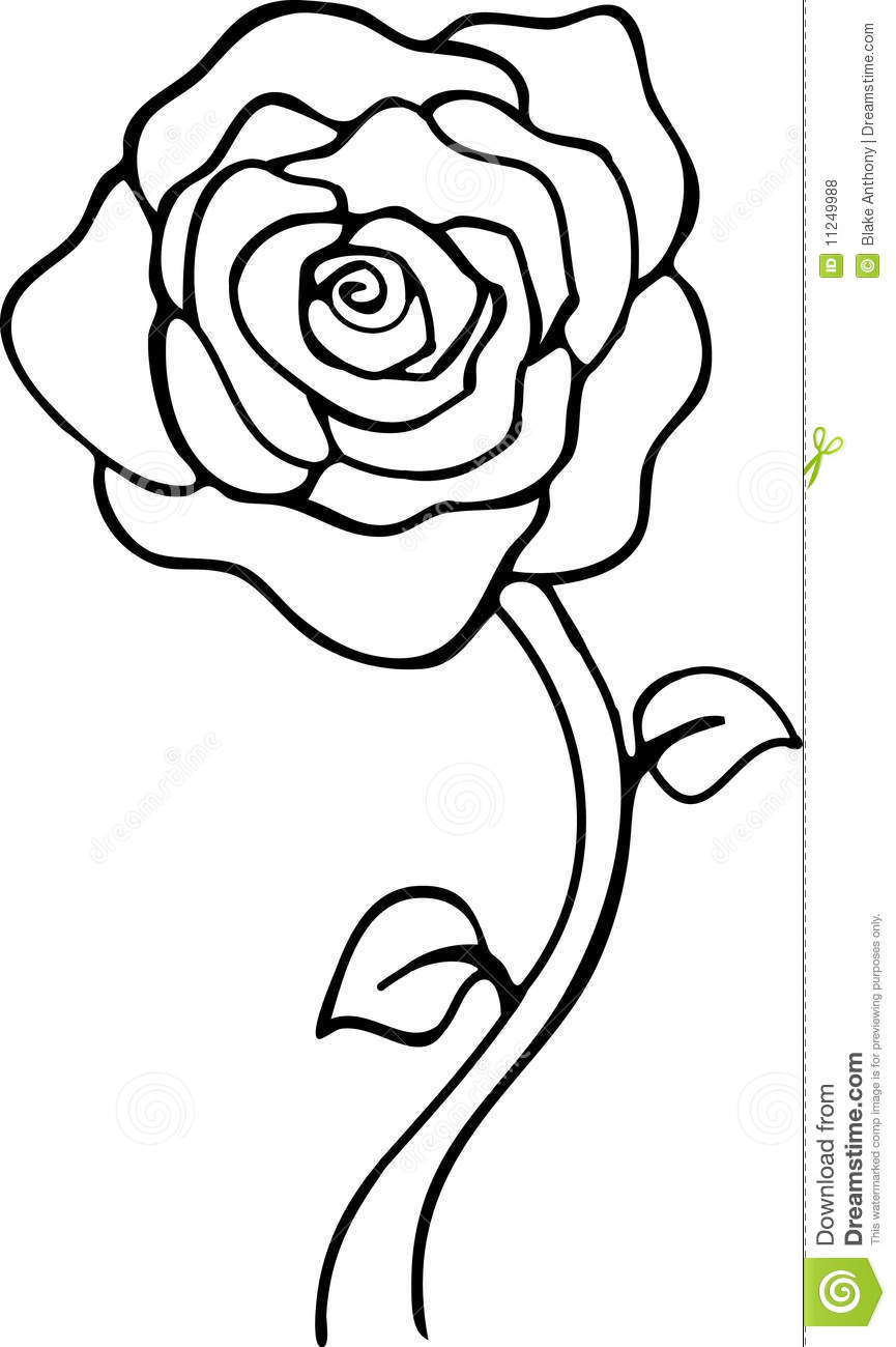 Rose Vector Rose Flower Clipart Black And White : Clipart of Roses