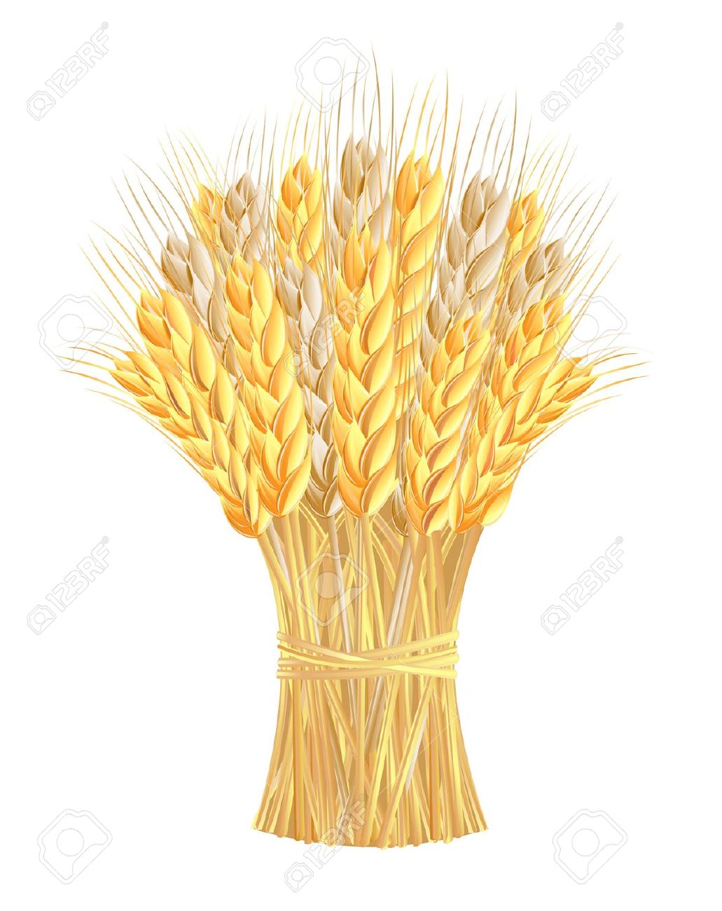 Sheaf Of Wheat Clipart.