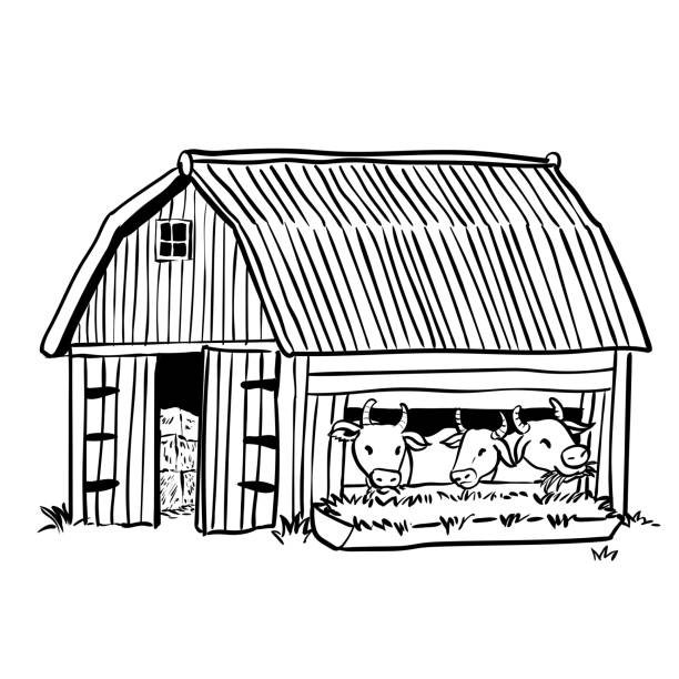 Cow In Shed Clipart.