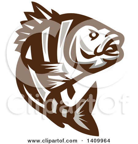 Sheepshead clipart 20 free Cliparts | Download images on Clipground 2024