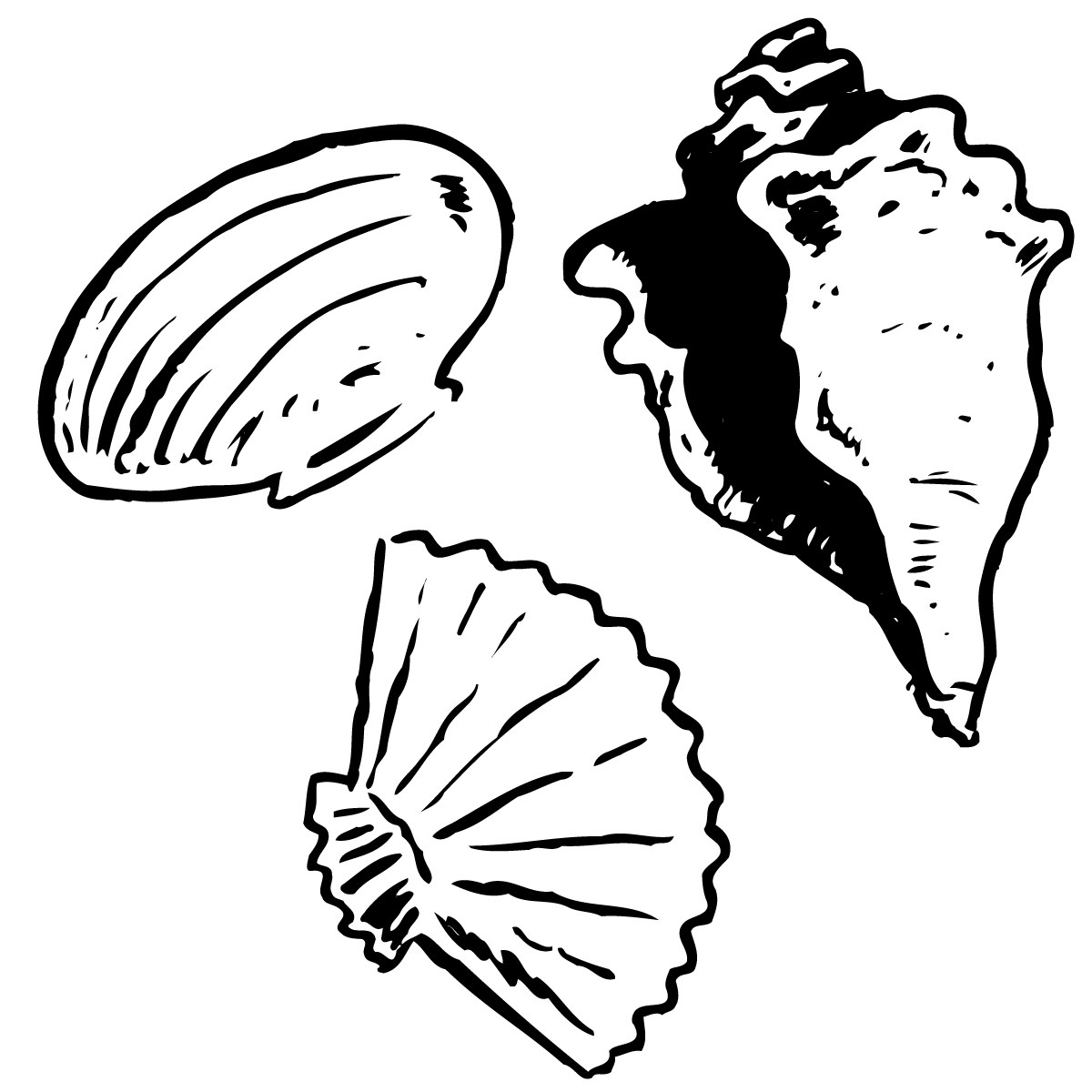 Sea shell clipart black and white 2 » Clipart Portal.