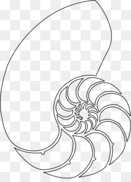 Shell Outline PNG and Shell Outline Transparent Clipart Free.