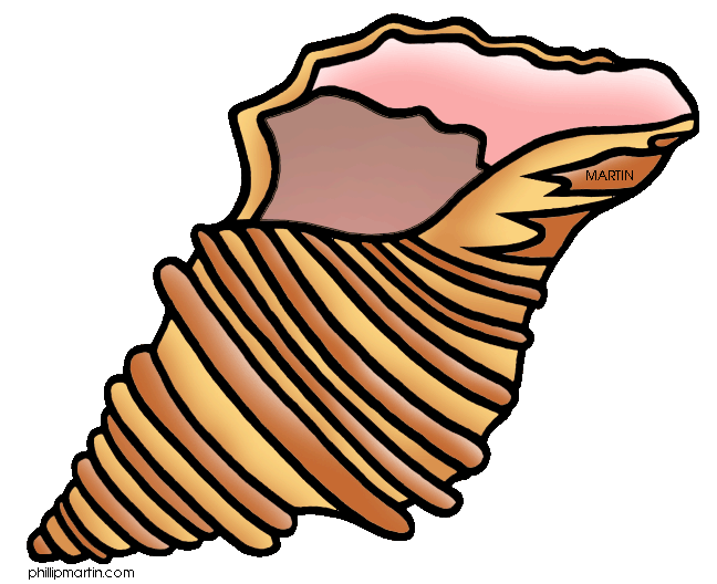 Shell Clipart.