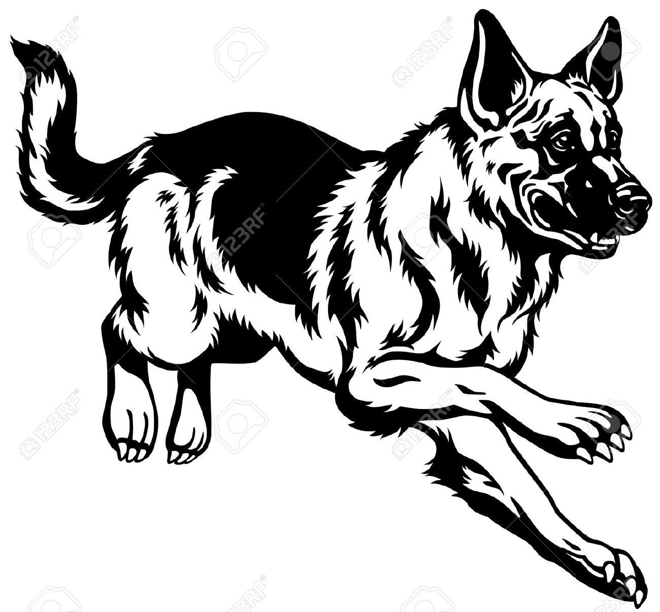 2,352 German Shepherd Stock Illustrations, Cliparts And Royalty.
