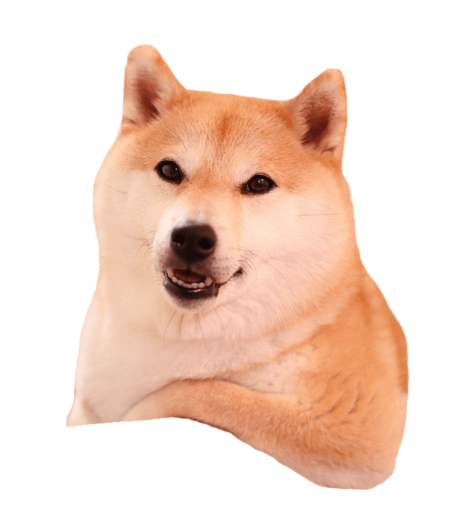 Shiba Inu PNG: The Ultimate Guide to Downloading and Using Free Images ...