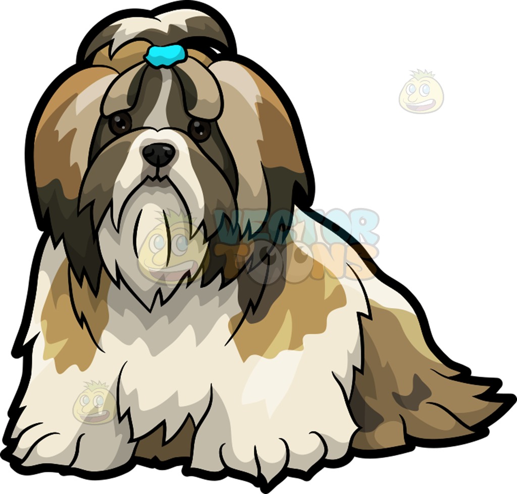 Shih tzu clipart 20 free Cliparts | Download images on Clipground 2022