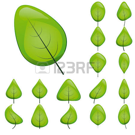 522 Frondage Stock Illustrations, Cliparts And Royalty Free.