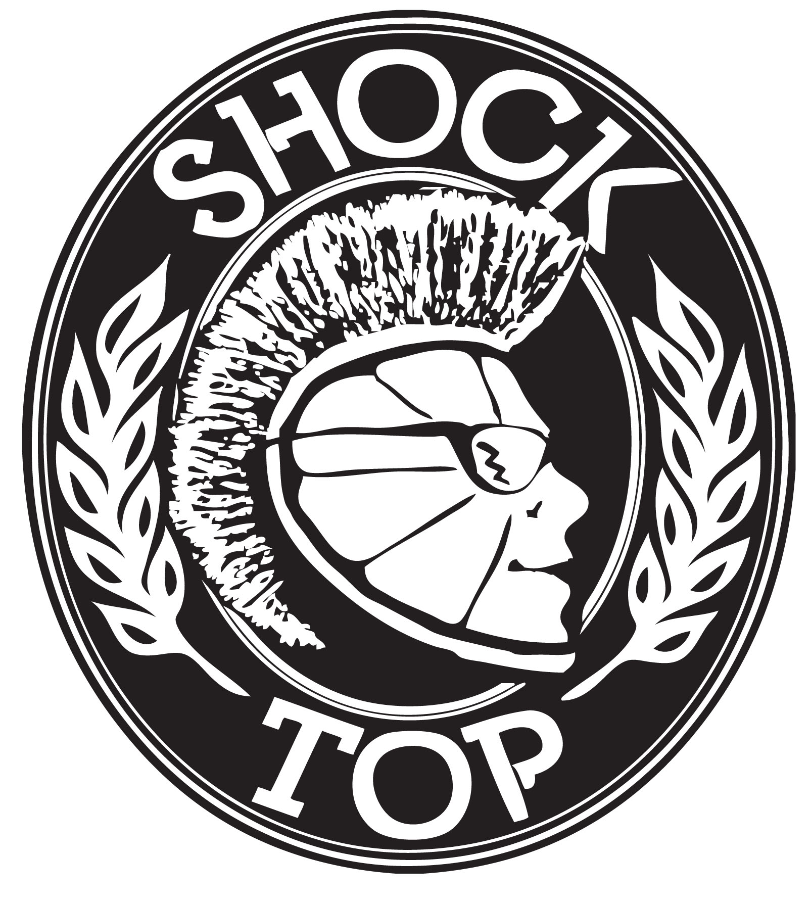 shock the system logo clip art