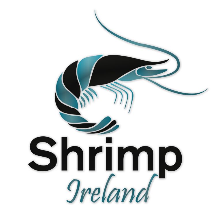 Shrimp Ireland Logo Design.