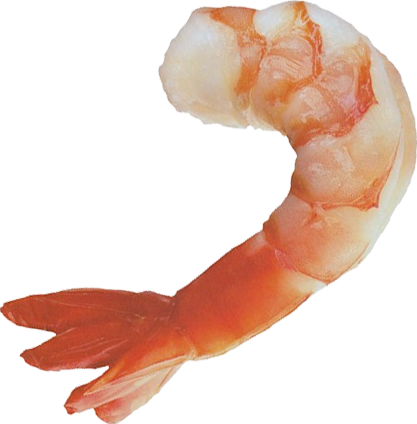 Shrimps PNG images clipart free download.