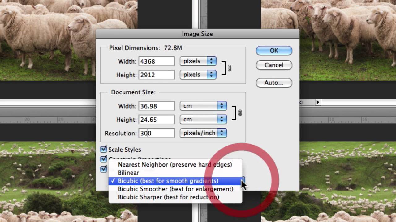 How To Resize Images In Photoshop Without Losing Quality.
