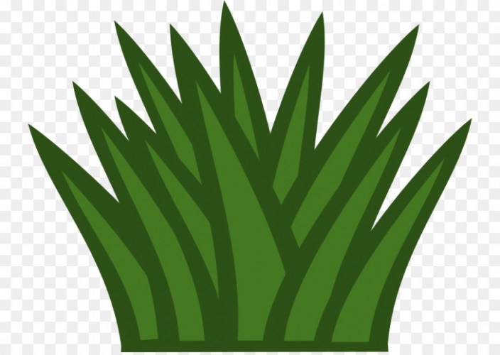 Shrub Free content Clip art.