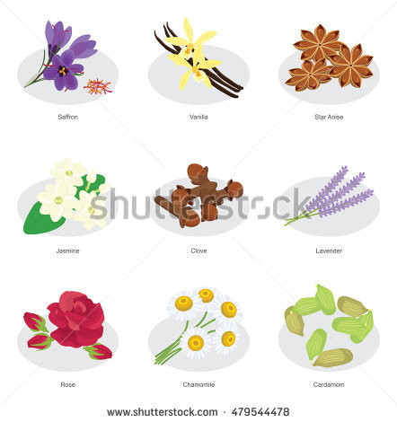 Anise Plant Stock Images, Royalty.