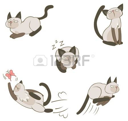 2,038 Siam Cliparts, Stock Vector And Royalty Free Siam Illustrations.