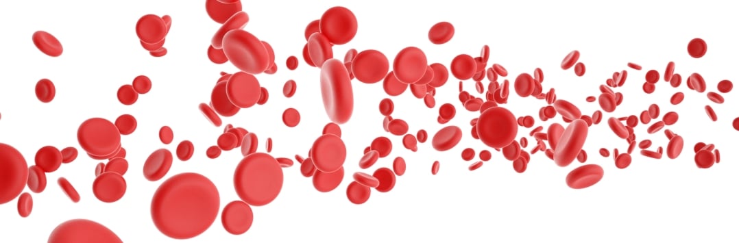 Gene therapy hope for sickle cell anaemia patients.