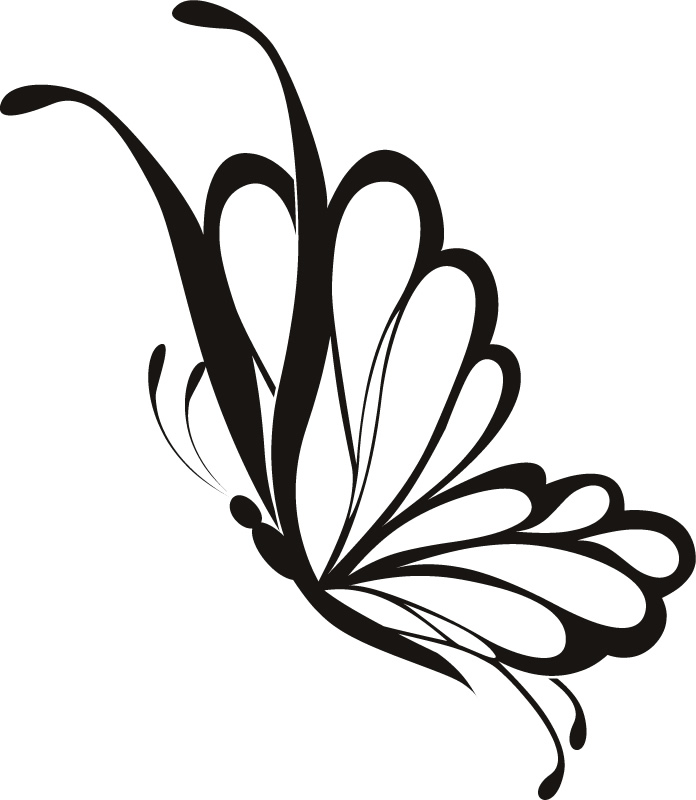 Side Of Butterfly Clipart.