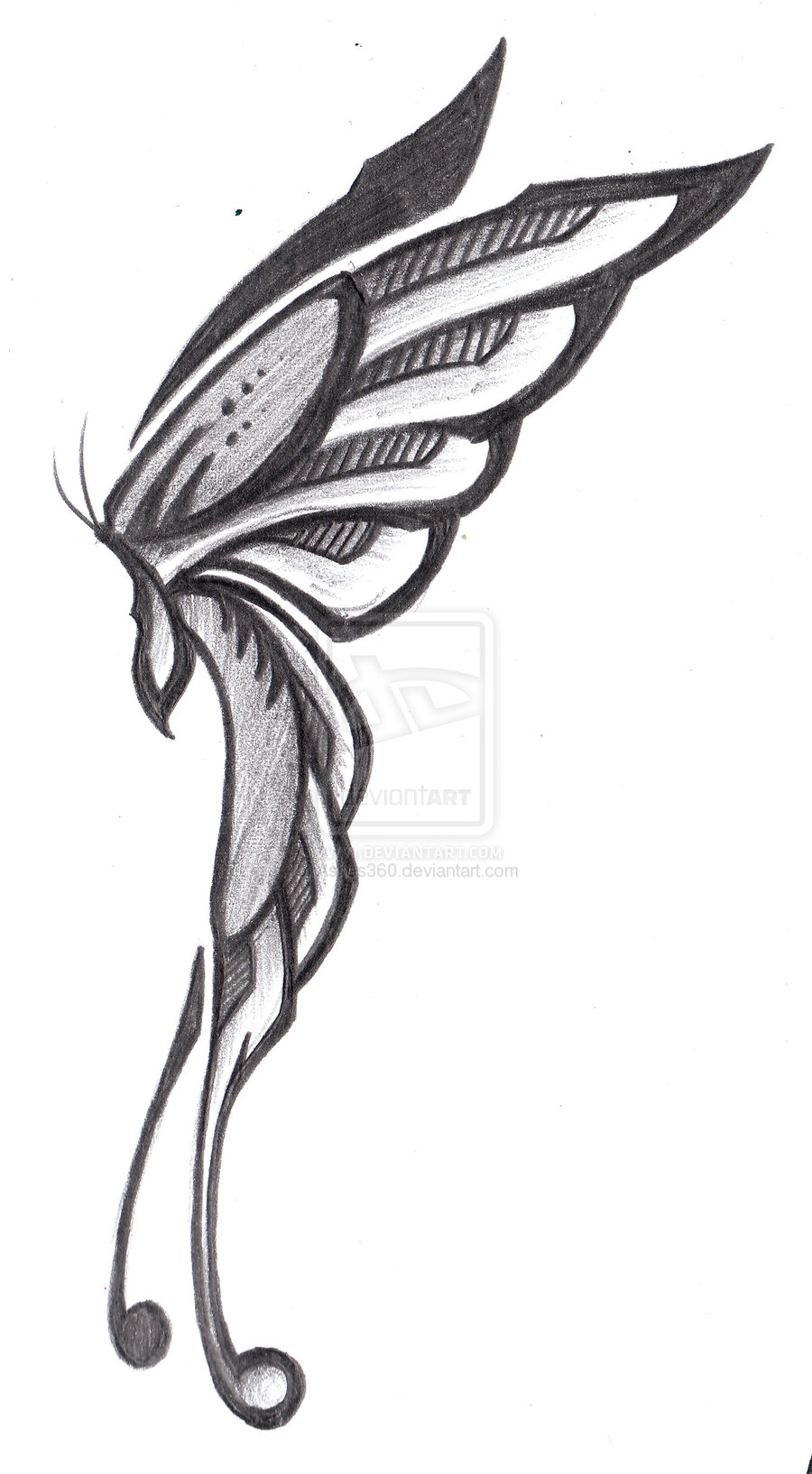 side profile butterfly clipart outline 20 free Cliparts | Download