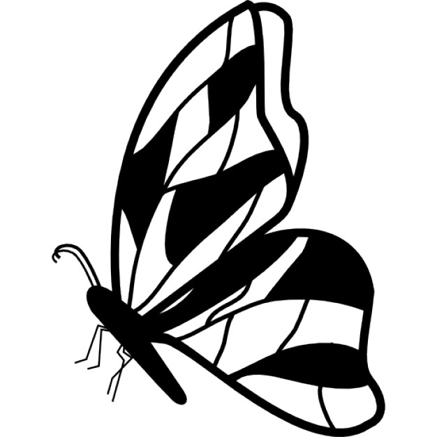 side profile butterfly clipart outline 20 free cliparts