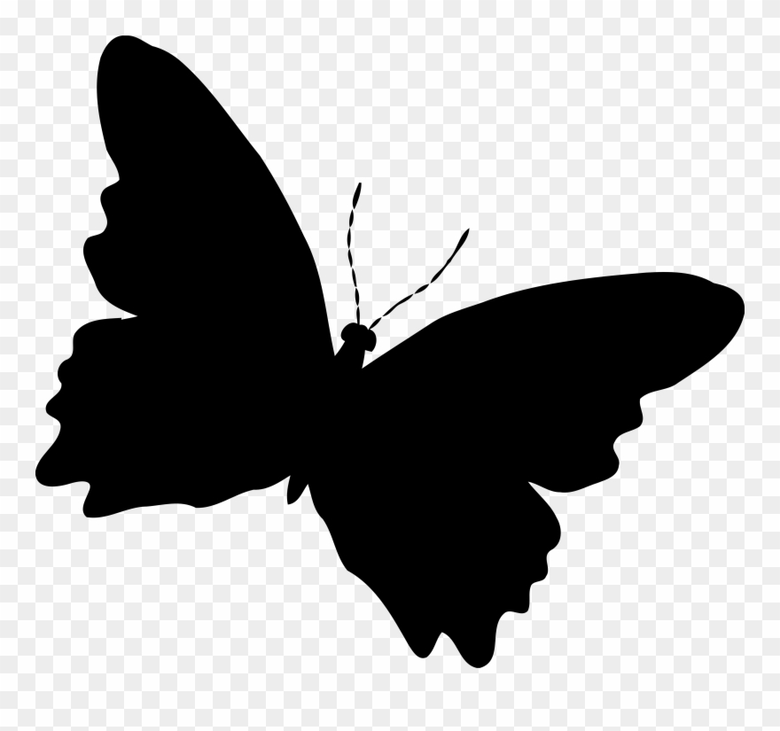 Download silhouette butterfly clip art 10 free Cliparts | Download ...