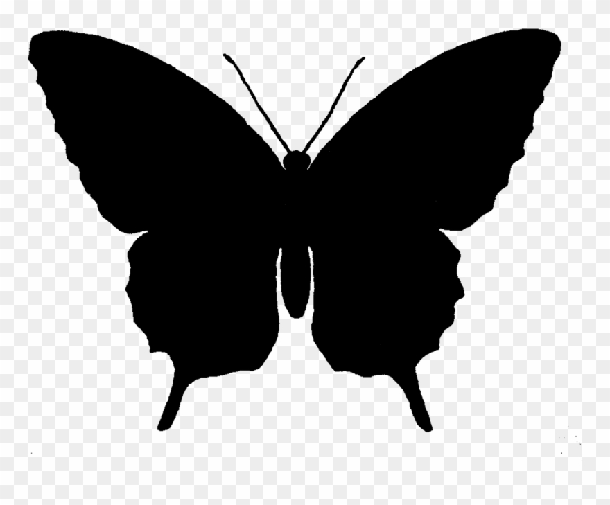 Butterfly Silhouette At Getdrawings Com Free For.