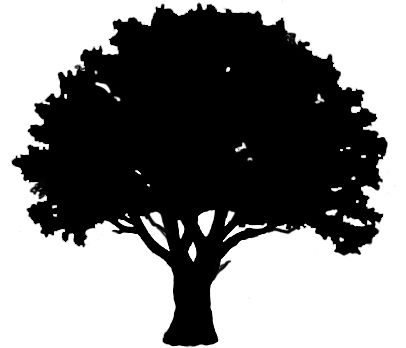 Free download Oak Tree Outline Clipart for your creation.