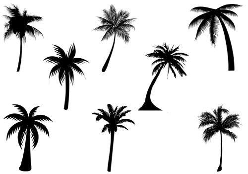 Palm Tree Silhouette.