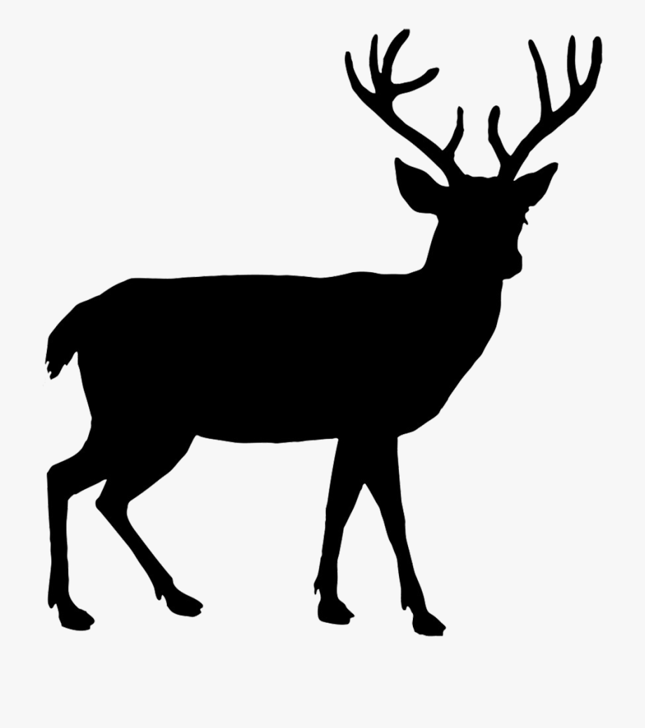 Animal Silhouettes Deer, Cliparts & Cartoons.