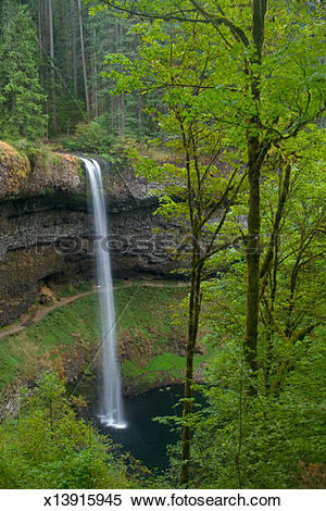 Stock Image of USA, Oregon, Silver Falls State Park, South Falls.