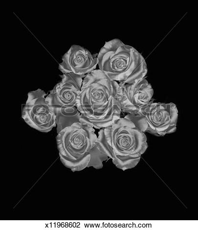 Silver roses clipart 20 free Cliparts | Download images on Clipground 2021