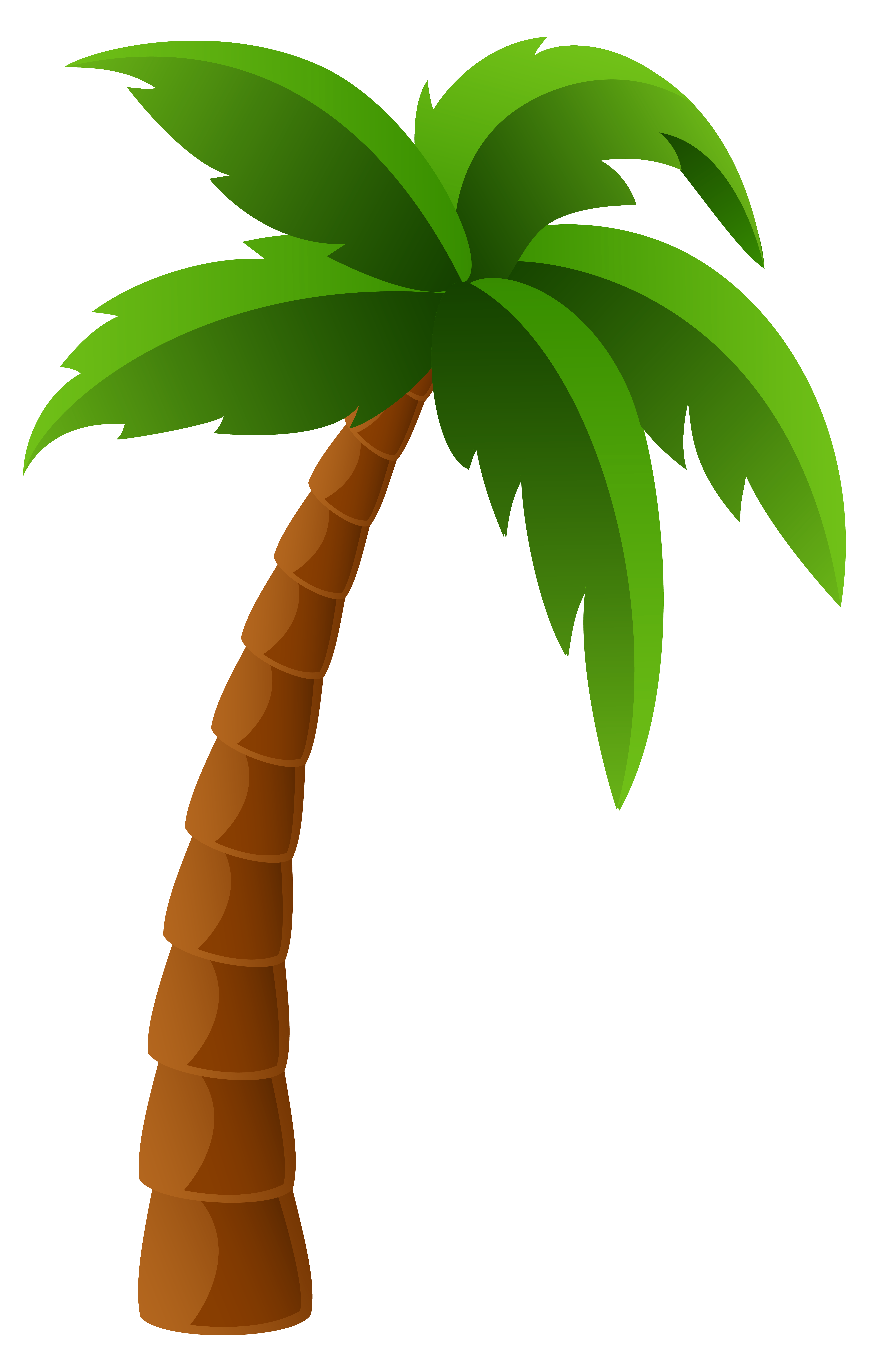 Palm tree clipart no background.