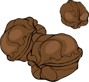 Similar to walnut clipart 20 free Cliparts | Download images on