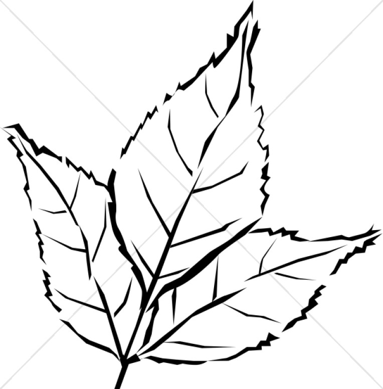 Woodcut Style Tri Leaf.