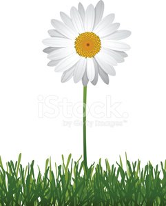 Single White Vector Daisy in Grass Clipart Image.