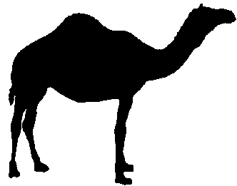 Hump Day Camel Clipart.