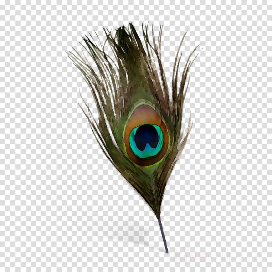 Peacock Feather Background clipart.