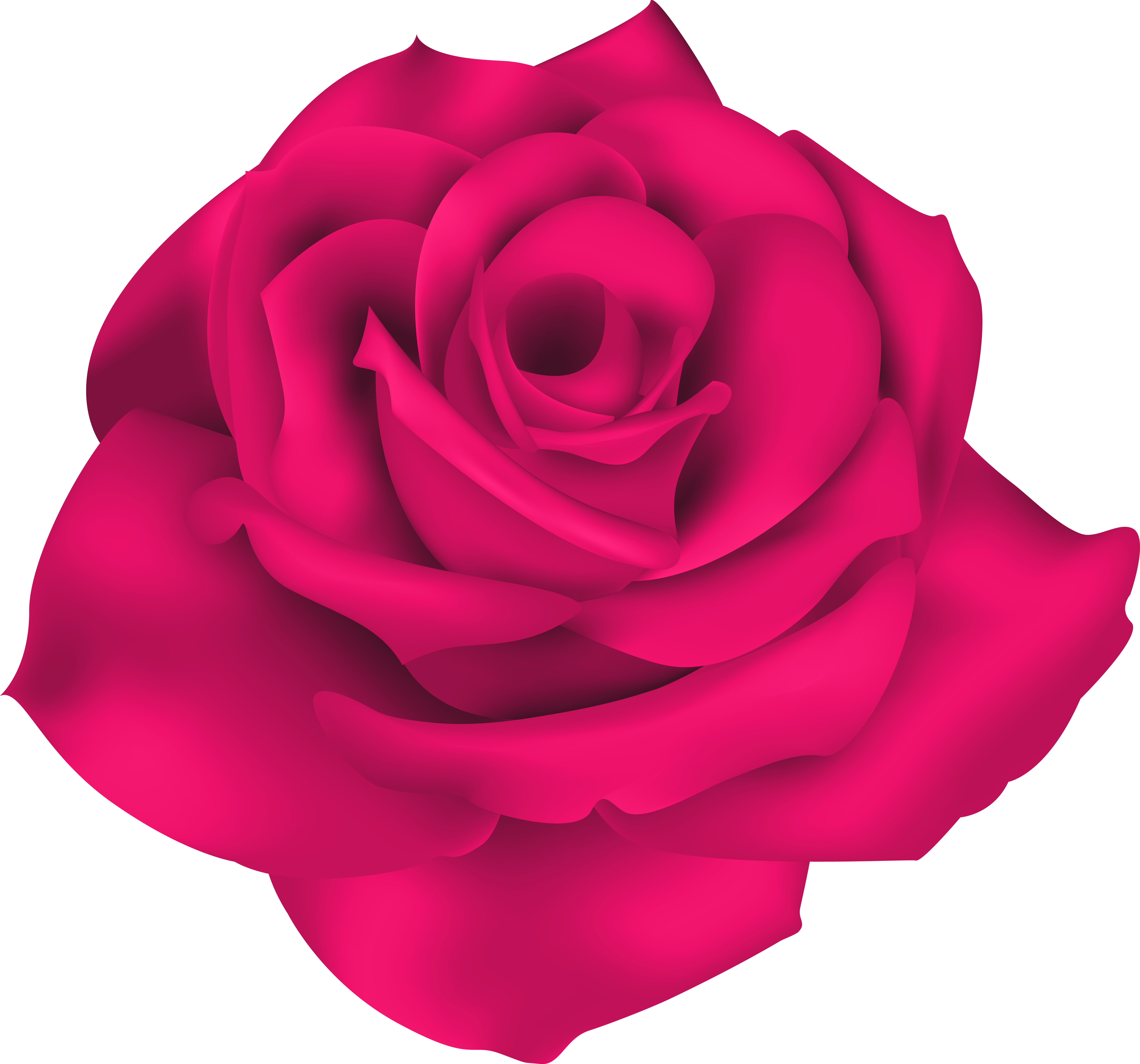 Single Pink Rose PNG Clip Art Image.