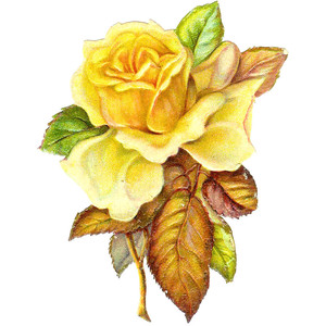 Free Flower Clip Art Single Yellow Rose Graphic from Victori.