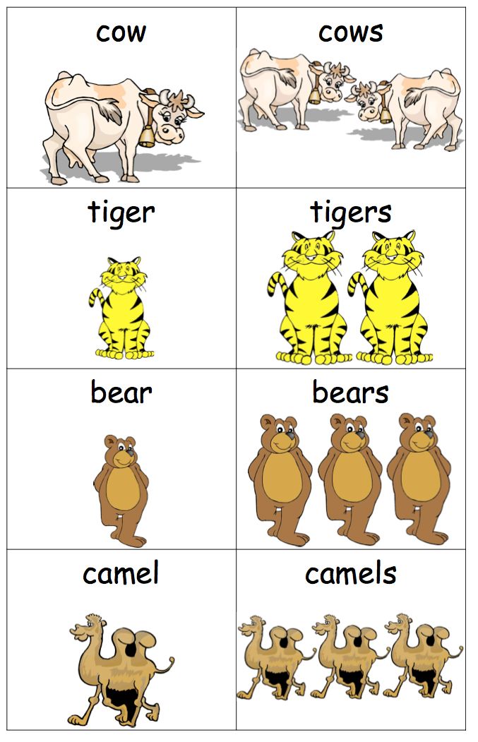 Singular And Plural Clipart 20 Free Cliparts Download Images On 