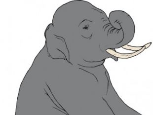 a elephant outline