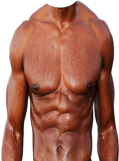 6 Pack Abs Png Png Image Collection 