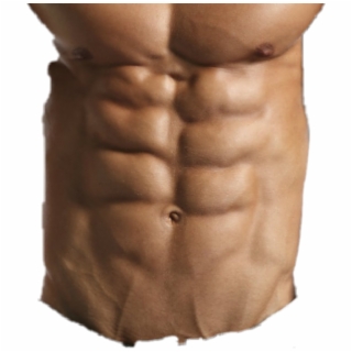 Abs PNG Images.