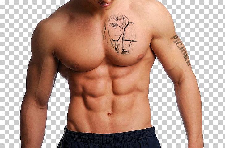 Car Rectus abdominis muscle, six pack abs PNG clipart.