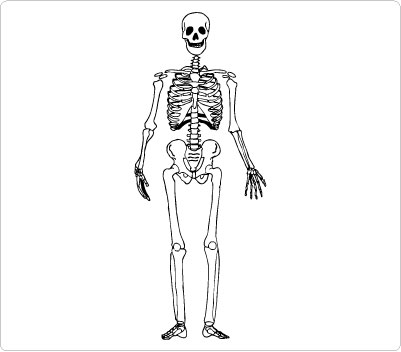 Free Skeleton Clipart Black And White, Download Free Clip.