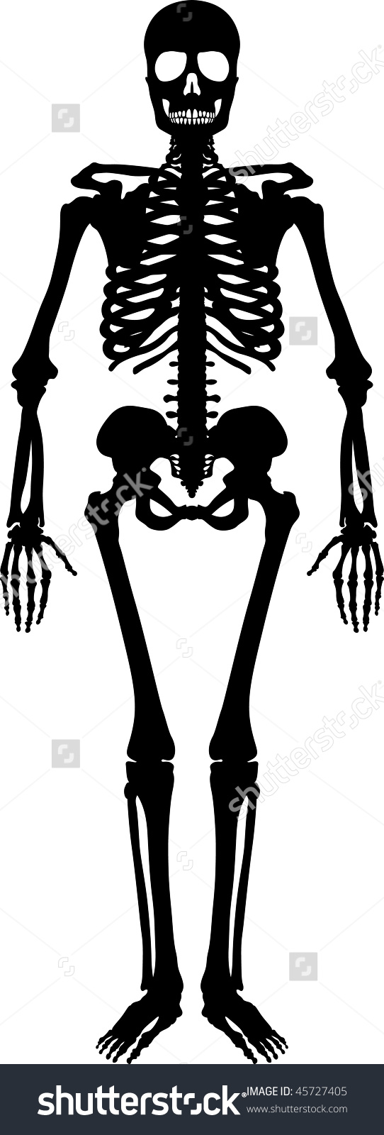 Skeleton Silhouette Clipart 20 Free Cliparts Download Images On