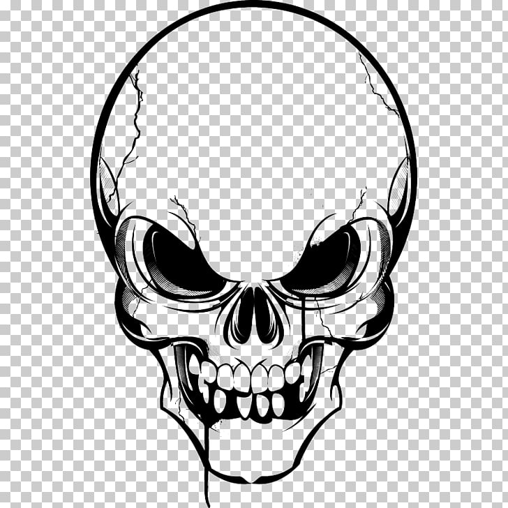 Skull Human skeleton , skull PNG clipart.