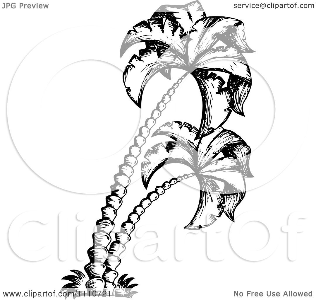 Clipart Black And White Sketched Palm Trees.