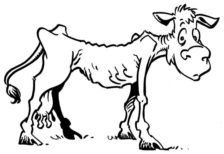 And Fat Cows Skinny Coloring Page Sketch Coloring Page