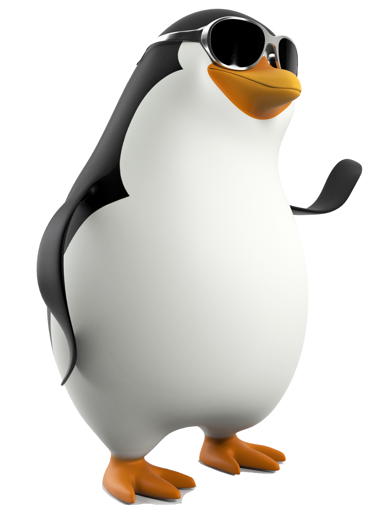 Madagascar Penguin PNG Image.