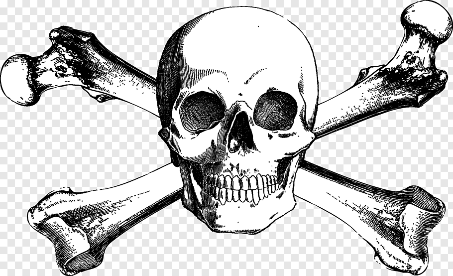 Skullbone logo illustration, Skull and Bones Skull and.