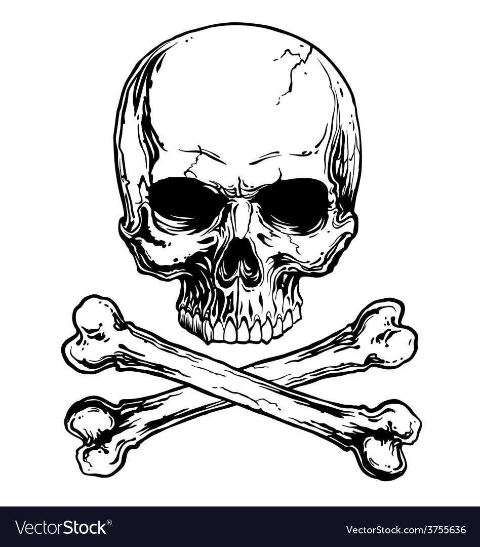 download skulls and crossbones